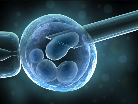 How Egg Donation Can Help Build Families for Those with Infertility Challenges